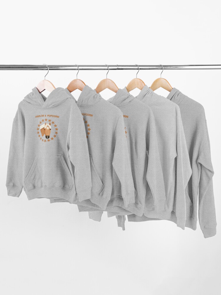 Popcorn hoodie pullover top