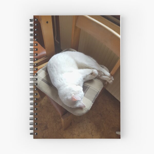 Item preview, napping cat designed and sold by barbich.