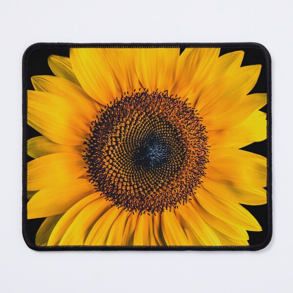 Item preview, Sunflower  designed and sold by JanviRamani.
