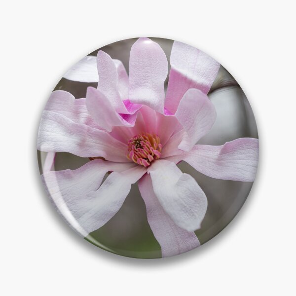 Item preview, Pink Magnolia designed and sold by Cathy Donohoue.