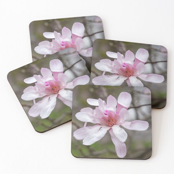 Item preview, Pink Magnolia designed and sold by Cathy Donohoue.