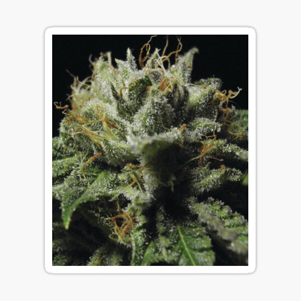 Item preview, Trichome 9 designed and sold by Trichome.