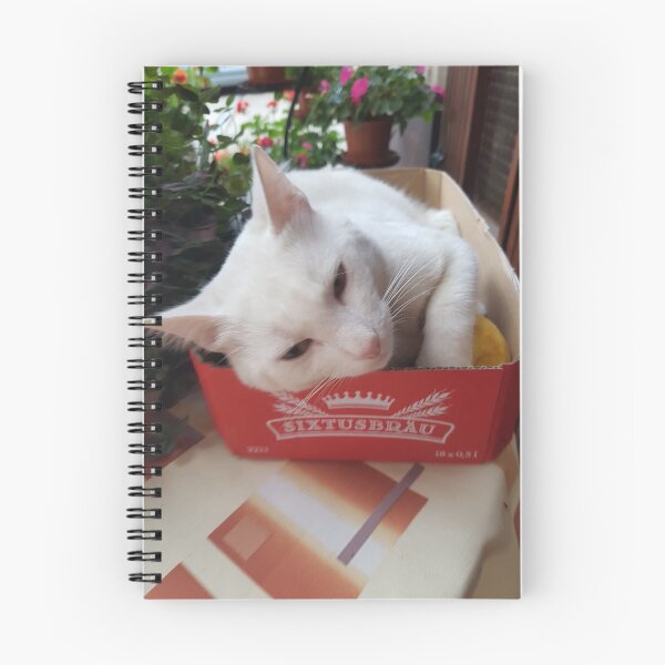 Item preview, white cat designed and sold by barbich.
