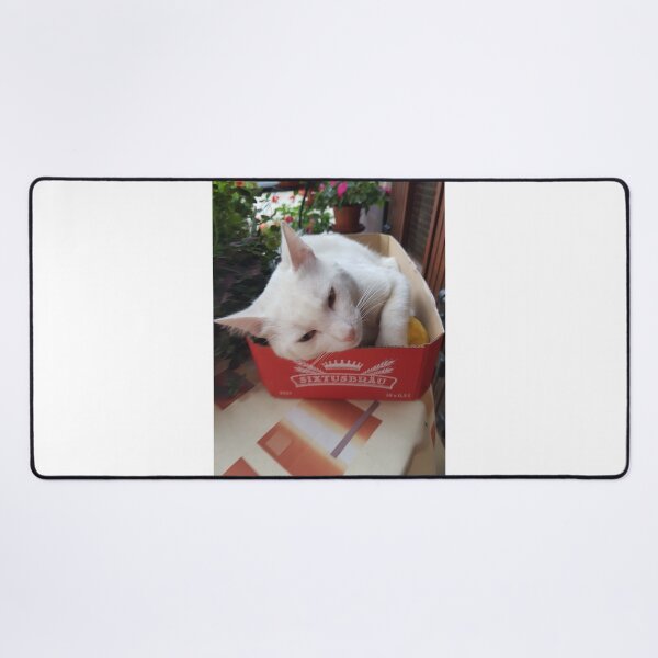 Item preview, white cat designed and sold by barbich.