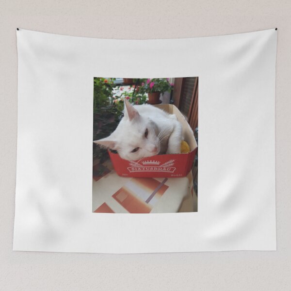 Item preview, white cat designed and sold by barbich.
