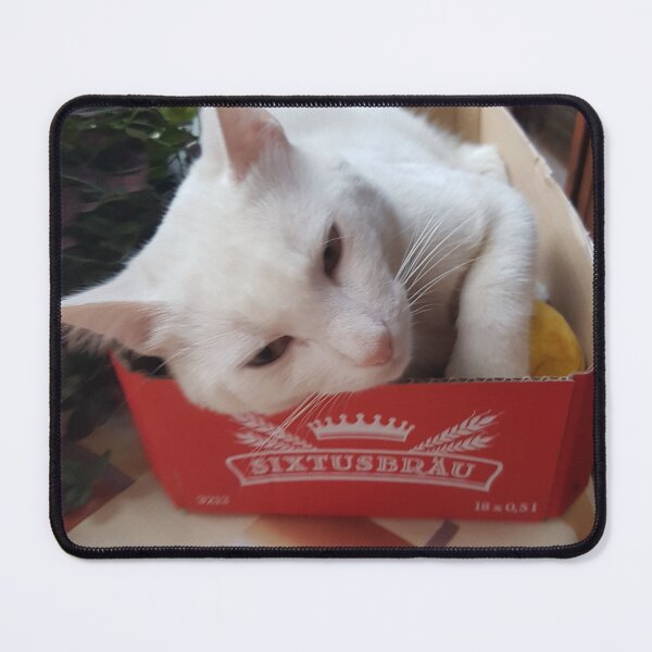 Item preview, white cat designed and sold by barbich.