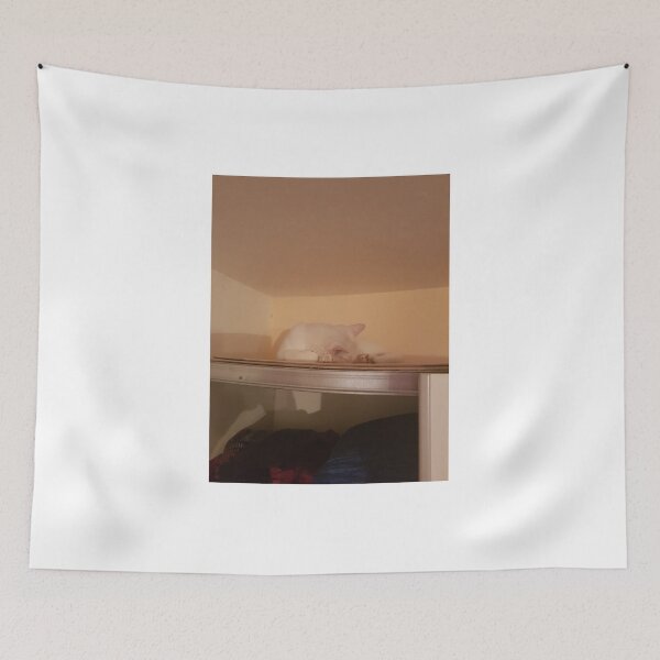 Item preview, on the top of wardrobe designed and sold by barbich.
