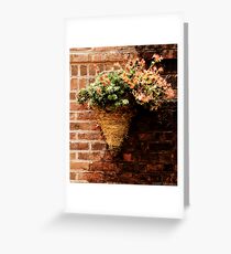 Flowers on a wall Greeting Card