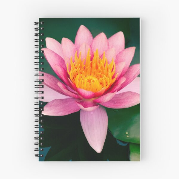 Item preview, spring water lily designed and sold by Melinda Brown.