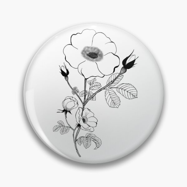 Item preview, beautiful detailed sketch of tea rose flower. Botanic tattoo designed and sold by Sunshine2504.