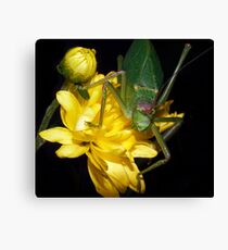 Yellow & Green ! Canvas Print