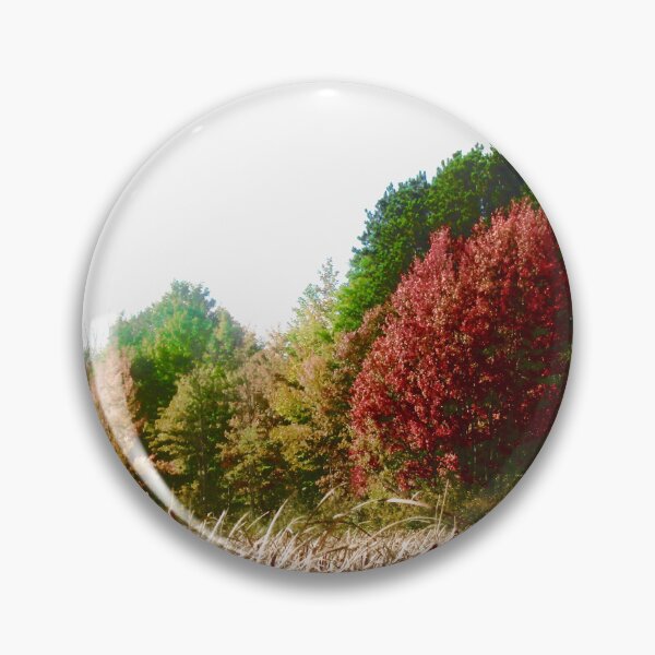 Item preview, Fall Trees in Mer Bleue designed and sold by Shulie1.