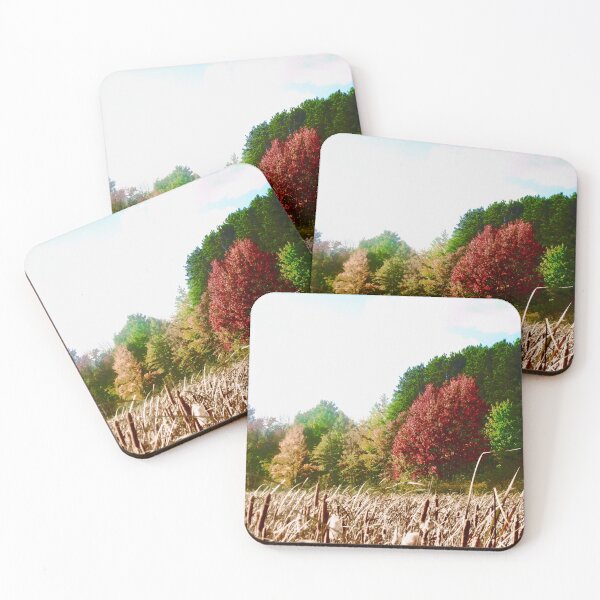 Item preview, Fall Trees in Mer Bleue designed and sold by Shulie1.
