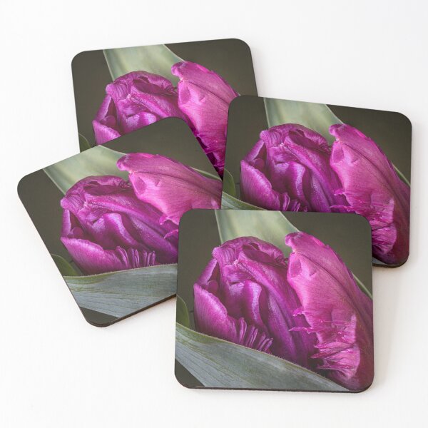 Item preview, Wonderful pink tulip designed and sold by gelibolu.