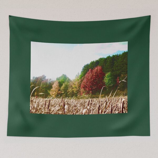 Item preview, Fall Trees in Mer Bleue designed and sold by Shulie1.