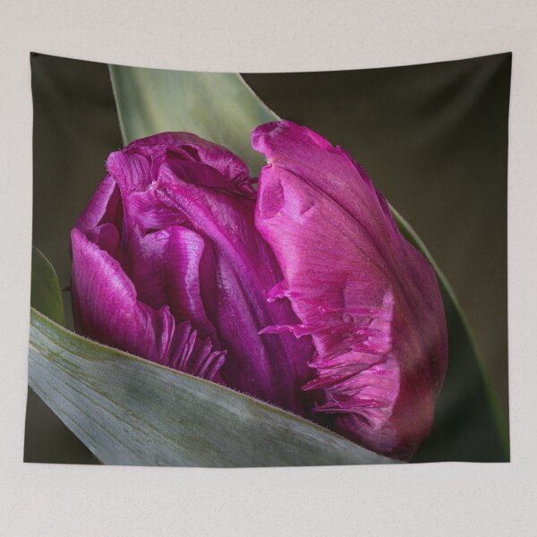 Item preview, Wonderful pink tulip designed and sold by gelibolu.