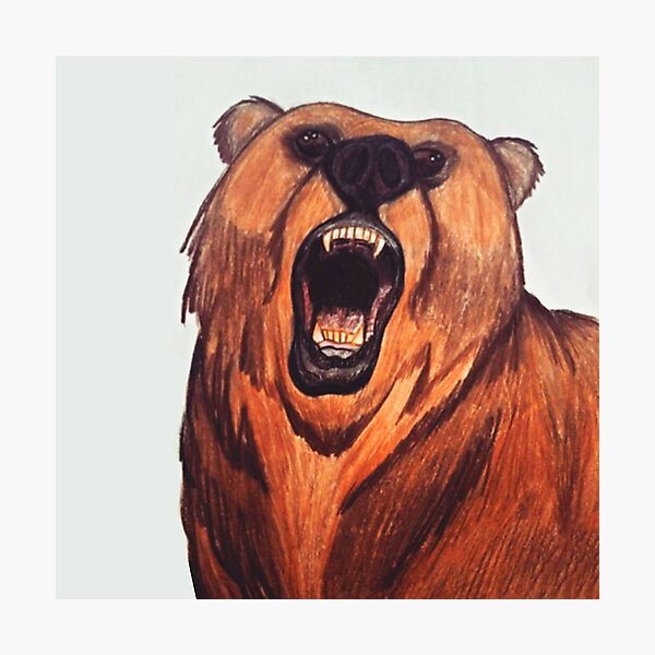 Grizzly Bear Photographic Print