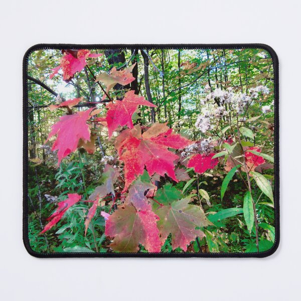 Item preview, Colourful Leaves designed and sold by Shulie1.