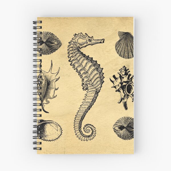 Item preview, Vintage Seashells designed and sold by peanutroaster.