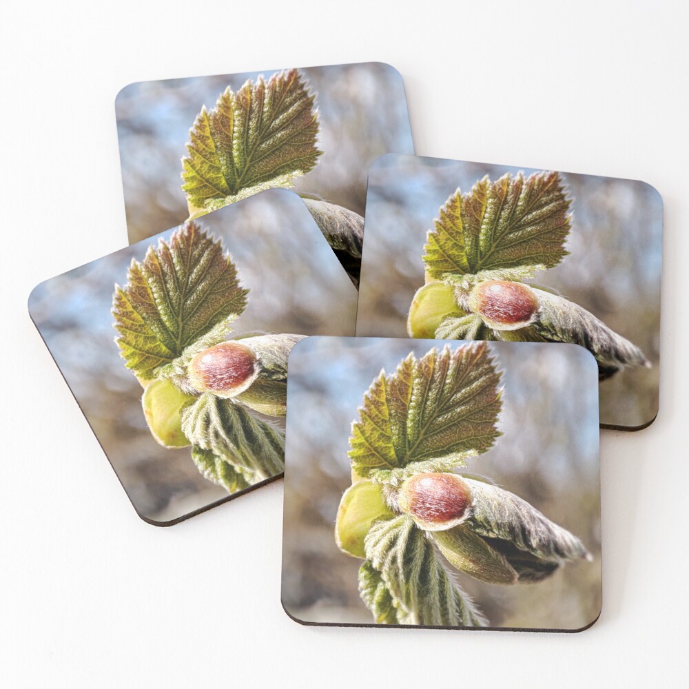 Item preview, Coasters (Set of 4) designed and sold by Treemonk.