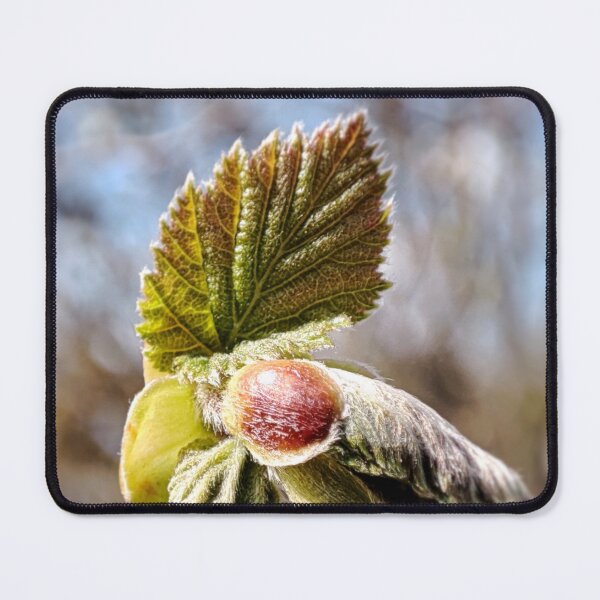 Item preview, Spring Awakening designed and sold by Treemonk.