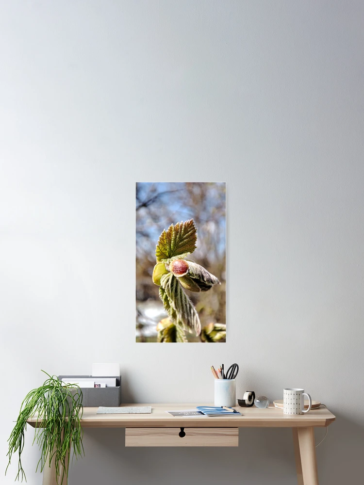 Thumbnail 2 of 3, Poster, Spring Awakening designed and sold by Treemonk.