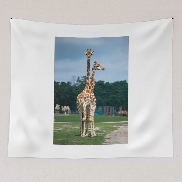 Item preview, Giraffe - from one to two designed and sold by OskiOnTour.