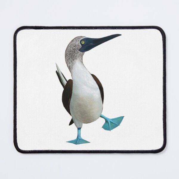 Item preview, silly bird designed and sold by Carlos-art-shop.