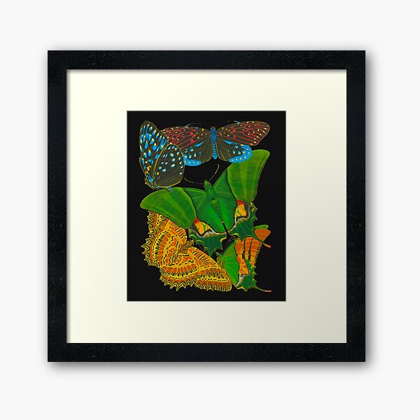 Seguy The butterflies of EA Seguy Framed Art Print