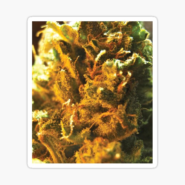 Item preview, Trichome 10 designed and sold by Trichome.