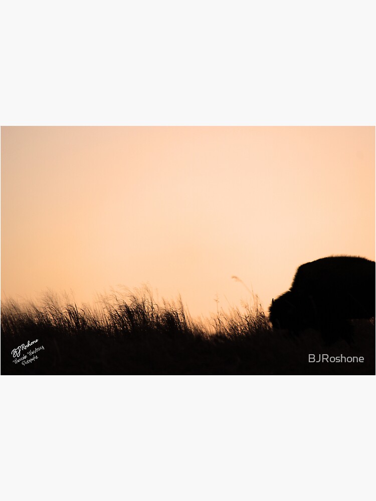 Prairie Sunset by BJRoshone