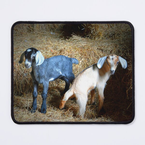 Item preview, Baby Goats designed and sold by Savannah Gibbs.