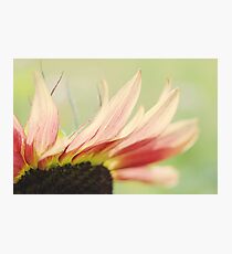 Alluring Photographic Print