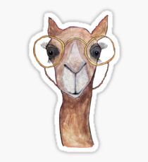 Camel Sticker