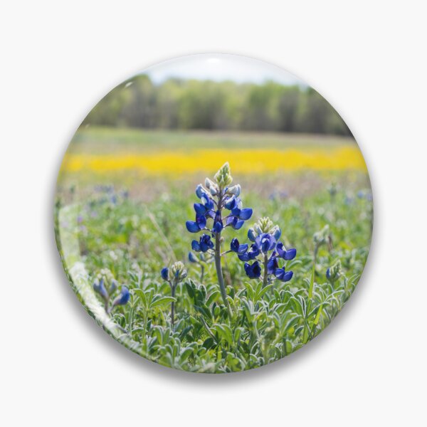 Item preview, Bluebonnet flores en campo con fondo amarillo designed and sold by Stretch Clendennen.