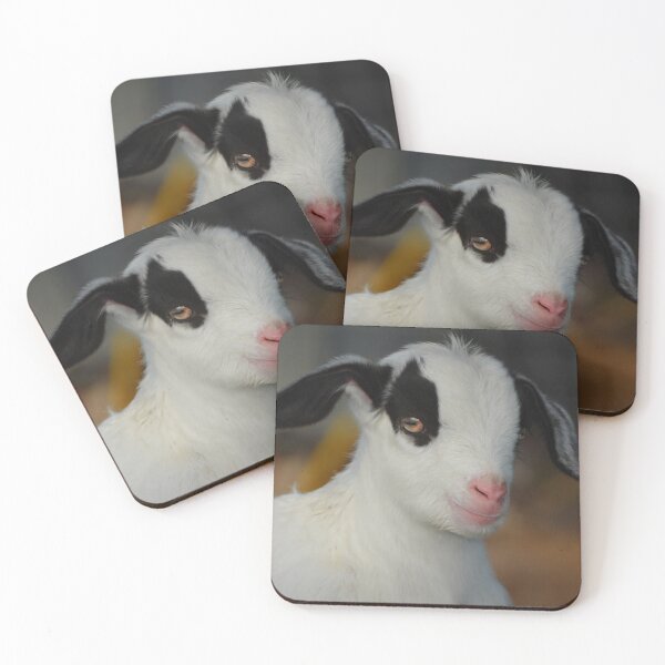 Item preview, Cabrito designed and sold by Savannah Gibbs.