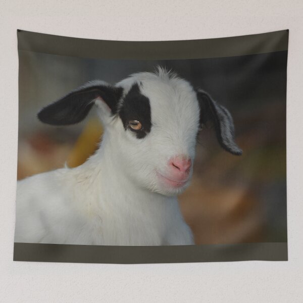 Item preview, Baby Goat designed and sold by Savannah Gibbs.