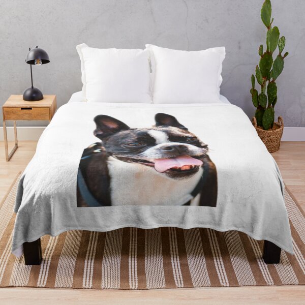 Item preview, HAPPY BOSTON TERRIER designed and sold by giantstep.