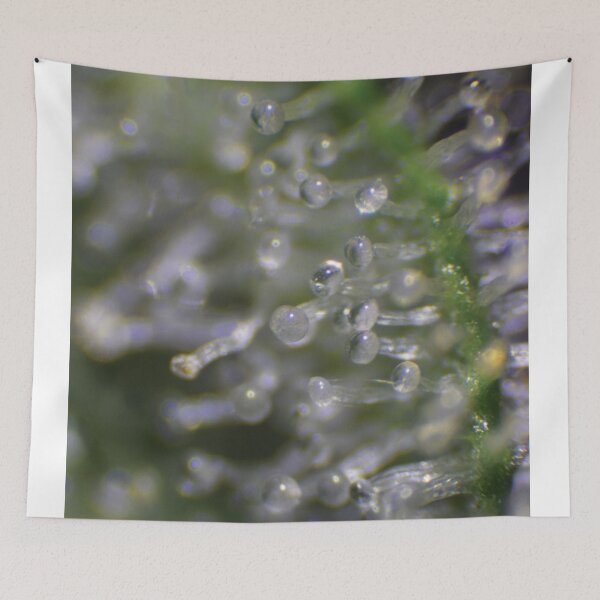 Item preview, Trichome 11 designed and sold by Trichome.