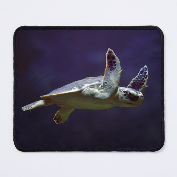 Item preview, Sea Turtle designed and sold by Savannah Gibbs.