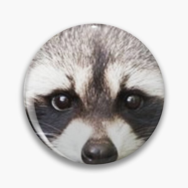 Item preview, Raccoon Face designed and sold by Carinamay.