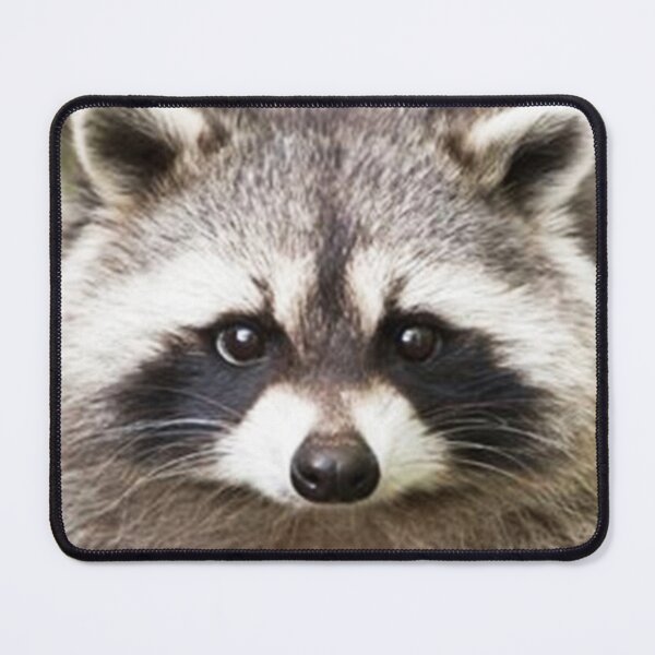 Item preview, Raccoon Face designed and sold by Carinamay.