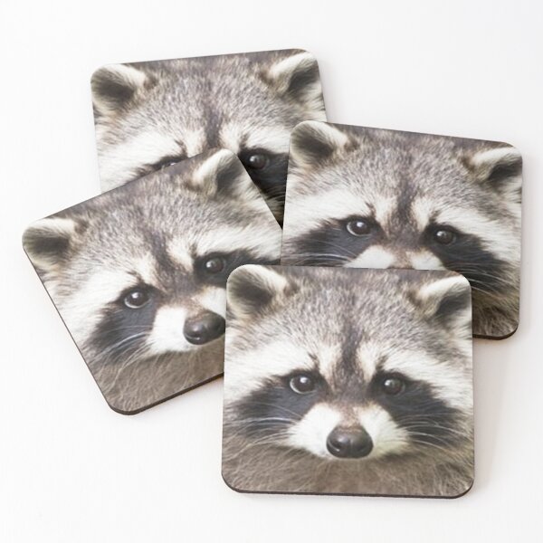 Item preview, Raccoon Face designed and sold by Carinamay.