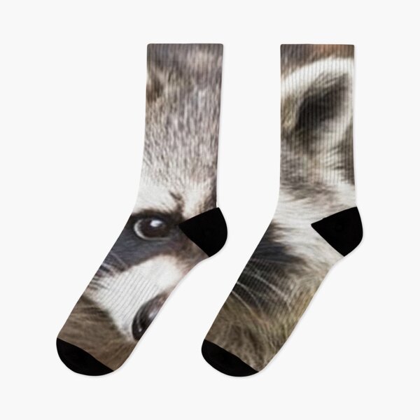 Item preview, Raccoon Face designed and sold by Carinamay.