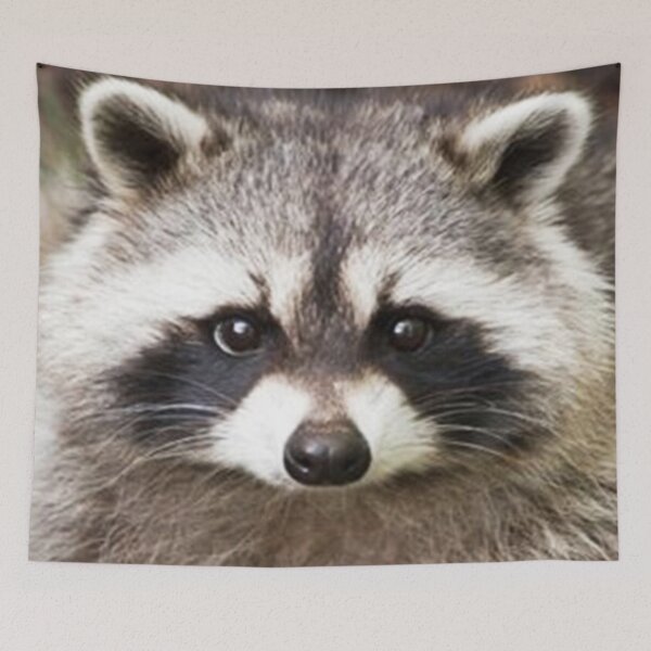 Item preview, Raccoon Face designed and sold by Carinamay.