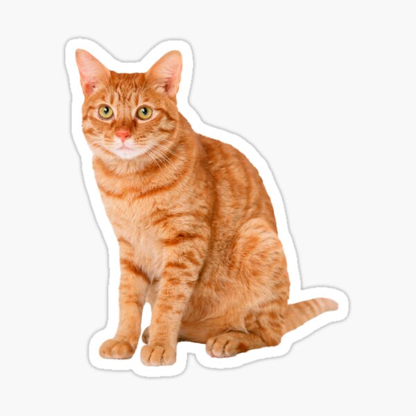 Item preview, Orange Tabby Cat designed and sold by mariejosee22.