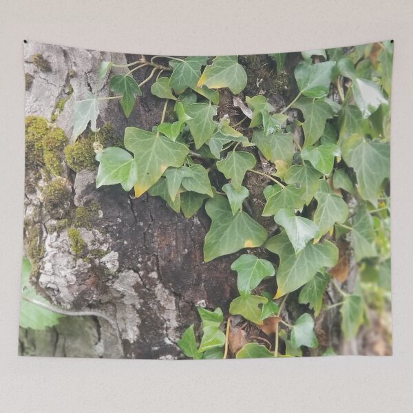 Item preview, Ivy Ivy Ivy designed and sold by CreativeDame.