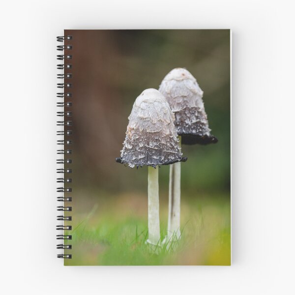 Item preview, Shaggy Inkcap Mushroom  designed and sold by dvlcom.