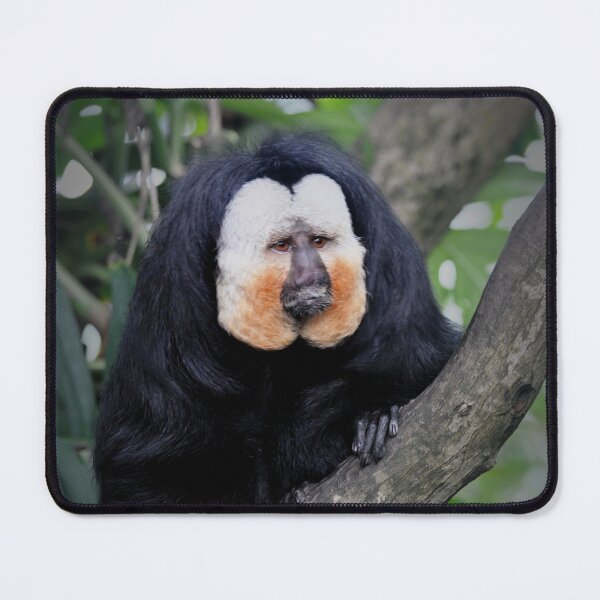 Item preview, Saki Monkey designed and sold by Savannah Gibbs.
