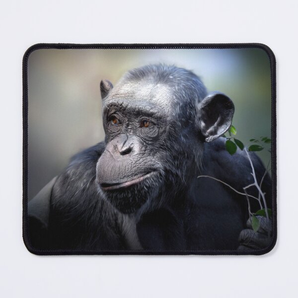 Item preview, Chimpanzee  designed and sold by Savannah Gibbs.